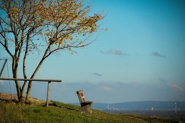 Impact synergique du tabagisme et de la consommation d'alcool sur la longévité des personnes âgées : Une étude approfondie