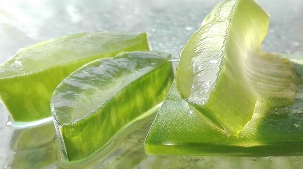 Gel d'aloe vera à boire : bienfaits, types et conseils d'usage